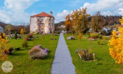 dvorec-tabor-vojnik-foto25
