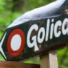 Golica, narcise, travnik, gore, karavanke