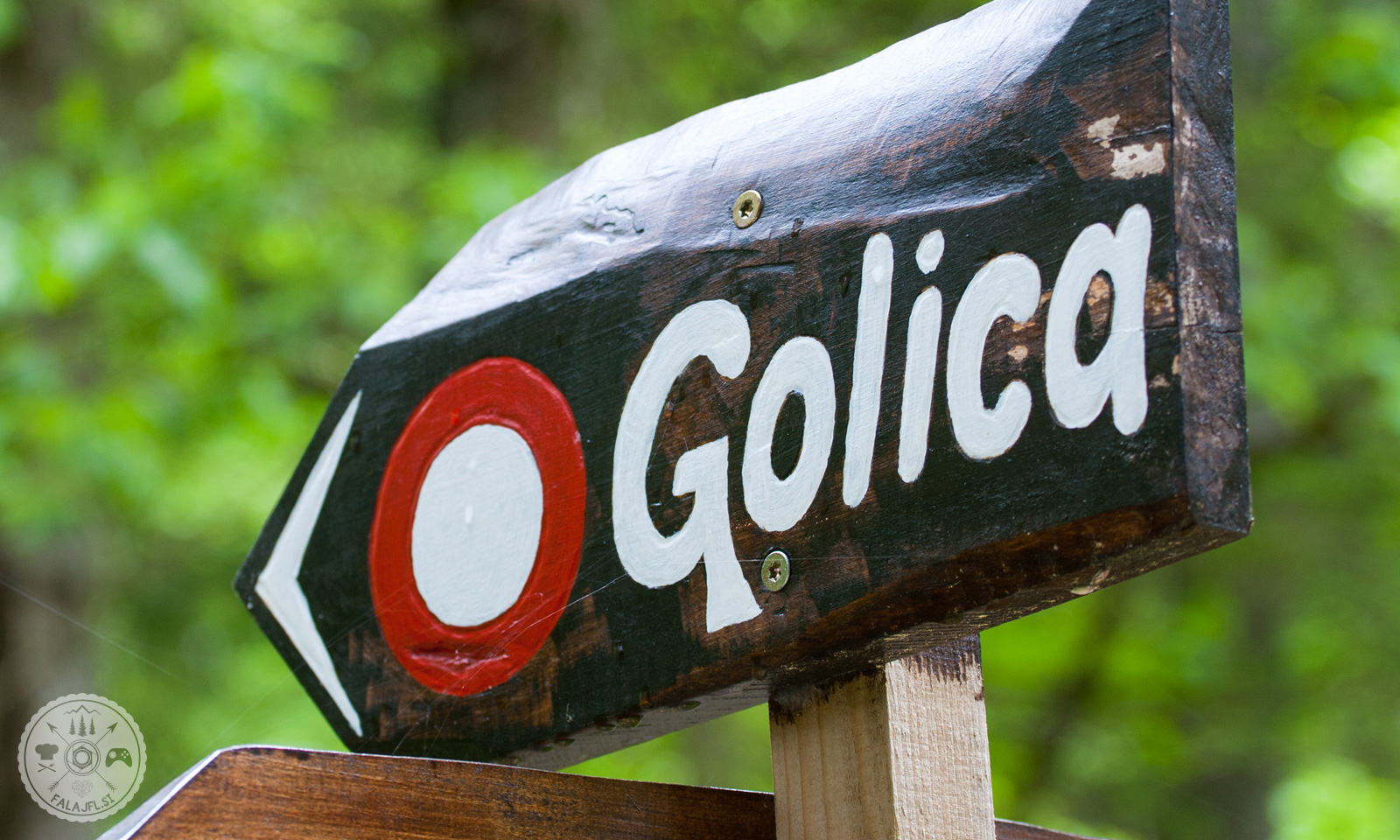 Golica, narcise, travnik, gore, karavanke